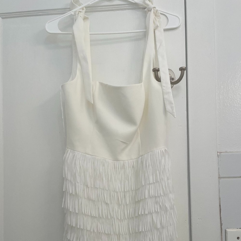 Aidan Mattox Crepe and Fringe Cocktail Dress